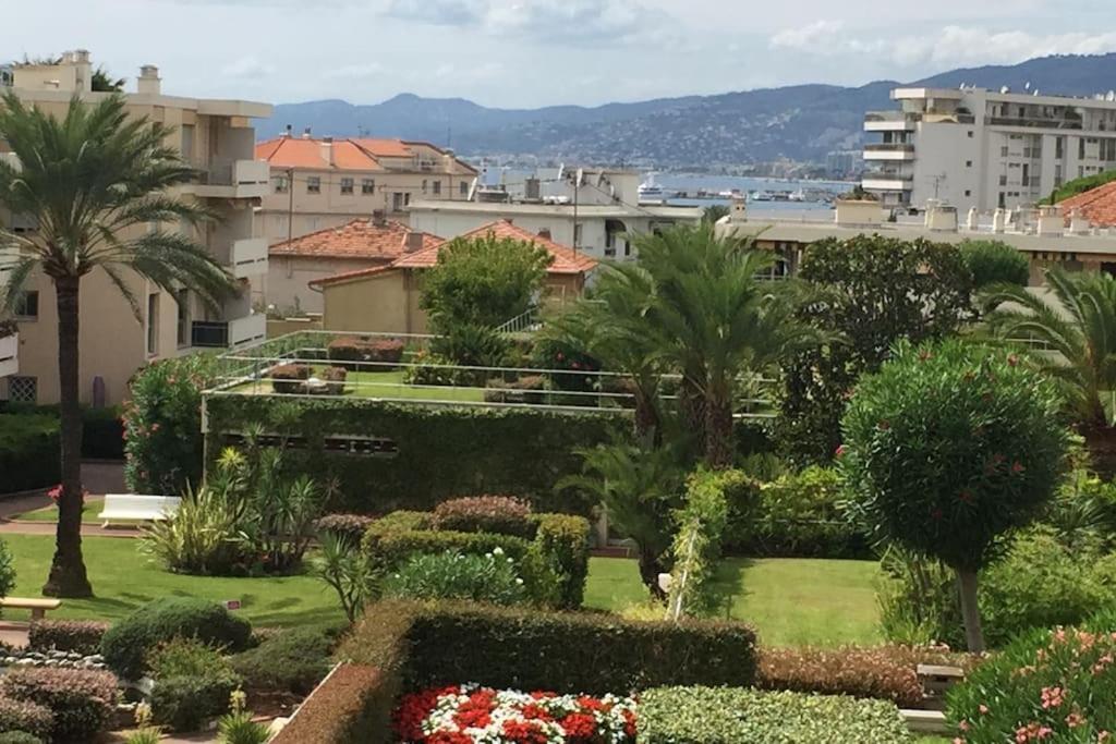 Croisette And Beaches. View On Gardens And Sea. Cannes